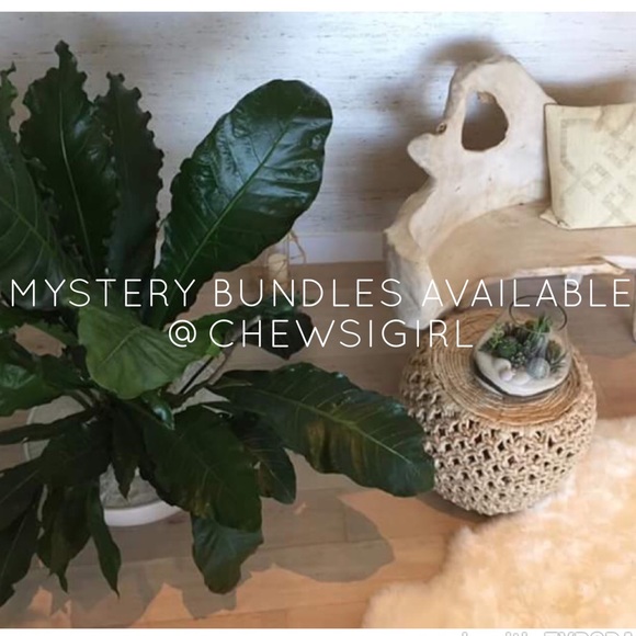 Hello Hello!! - Picture 2 of 3